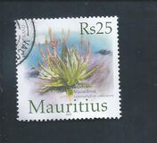 [Nature Reserve Round Island, Tipi AEG]