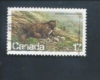 [Endangered Wildlife, type AAD]