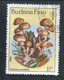 [Fungi, Вид CE]