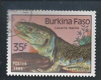 [Reptiles and Amphibians, tegund AJ]