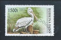 [Birds, տեսակ OR]