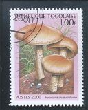 [Funghi da tutto il mondo, Scrivi CWQ]