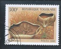 [Funghi da tutto il mondo, Scrivi CWT]