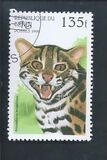 [Wild Cats, type TH]