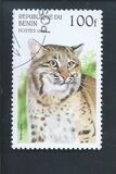 [Wild Cats, type TG]