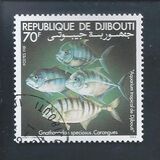 [Djibouti Tropical Aquarium, Вид CZ]