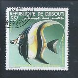 [Djibouti Tropical Aquarium, Вид CY]