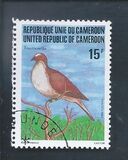 [Birds, Tipi YD]