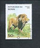 [Mammals, type QO]