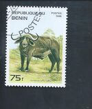 [Mammals, type QP]