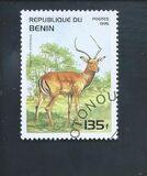 [Mammals, type QR]