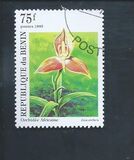 [Orchids, タイプ RJ]