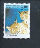 [Big Cats and their Young, Tipi RB]