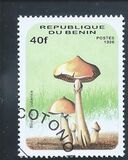 [Fungi, type UU]