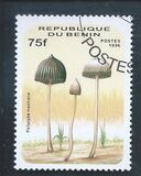 [Fungi, type UW]