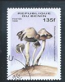 [Fungi, type UY]