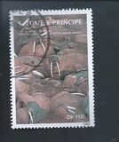 [Conference of United Nations Conference on Environment and Development, Rio de Janeiro, Tip AGW]