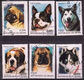 [Not Issued - Dogs, тип QQA]
