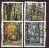 [The Four Seasons of the Forest, type ZK]