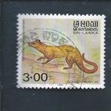 [Animals, Typ DI1]