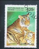 [Big Cats and their Young, Tipi RF]
