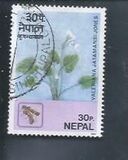 [Nepalese Spices, type JG]