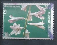 [Flowers, प्रकार HH]