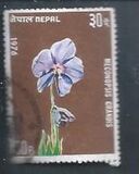 [Flowers, प्रकार HG]