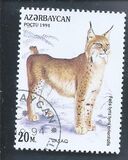 [Wild Cats, 유형 DF]