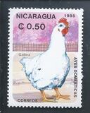 [Domestic Animals - Birds, type BPN]