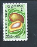 [Fruits, Tipi HF]
