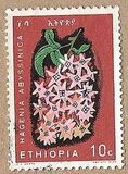 [Ethiopian Flowers, tip OY]