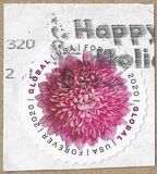 [Flowers - Chrysanthemum, प्रकार IHU]
