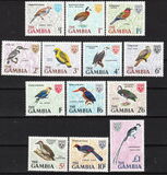 [Birds, tip BM]