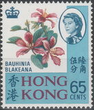 [Local Motives, type BN]