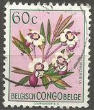 [Definitive 1952-1953 - Flora of the Colony - (Perf. 11½) - (Engraved by: Héliogravure), type EJ]