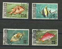 [Marine Life - Fish, प्रकार Q]