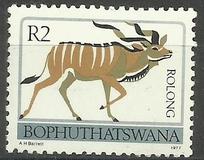 [Animal Totems, type Q]