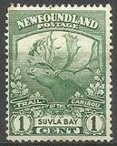 [Newfoundland Troops in the World War I, тып BZ]