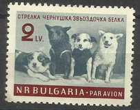 [Soviet Space Dogs - Strelka, Chernushka, Zvezdochka and Belka, Tipo ANB]