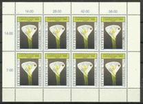 [International Gardening Exhibition, Scrivi BTL]