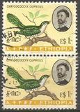 [Birds, type MY]