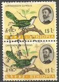[Birds, type MY]