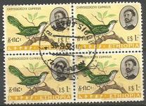 [Birds, type MY]