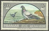[Airmail - Native Birds, type BJ]