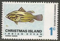 [Fish, Tipi M]
