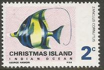 [Fish, Tipi N]