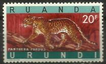 [Endangered Animals - Big Cats, type CM]