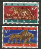 [Endangered Animals - Big Cats, type CM]