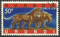[Endangered Animals - Big Cats, type CN]